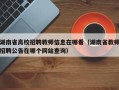 湖南省高校招聘教师信息在哪看（湖南省教师招聘公告在哪个网站查询）