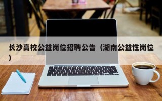 长沙高校公益岗位招聘公告（湖南公益性岗位）