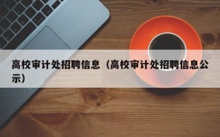 高校审计处招聘信息（高校审计处招聘信息公示）