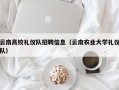 云南高校礼仪队招聘信息（云南农业大学礼仪队）