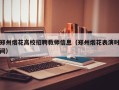 郑州烟花高校招聘教师信息（郑州烟花表演时间）