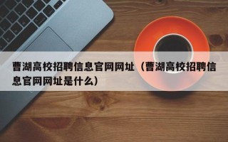 曹湖高校招聘信息官网网址（曹湖高校招聘信息官网网址是什么）
