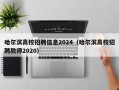 哈尔滨高校招聘信息2024（哈尔滨高校招聘教师2020）