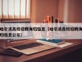 哈尔滨高校招聘海归信息（哈尔滨高校招聘海归信息公示）